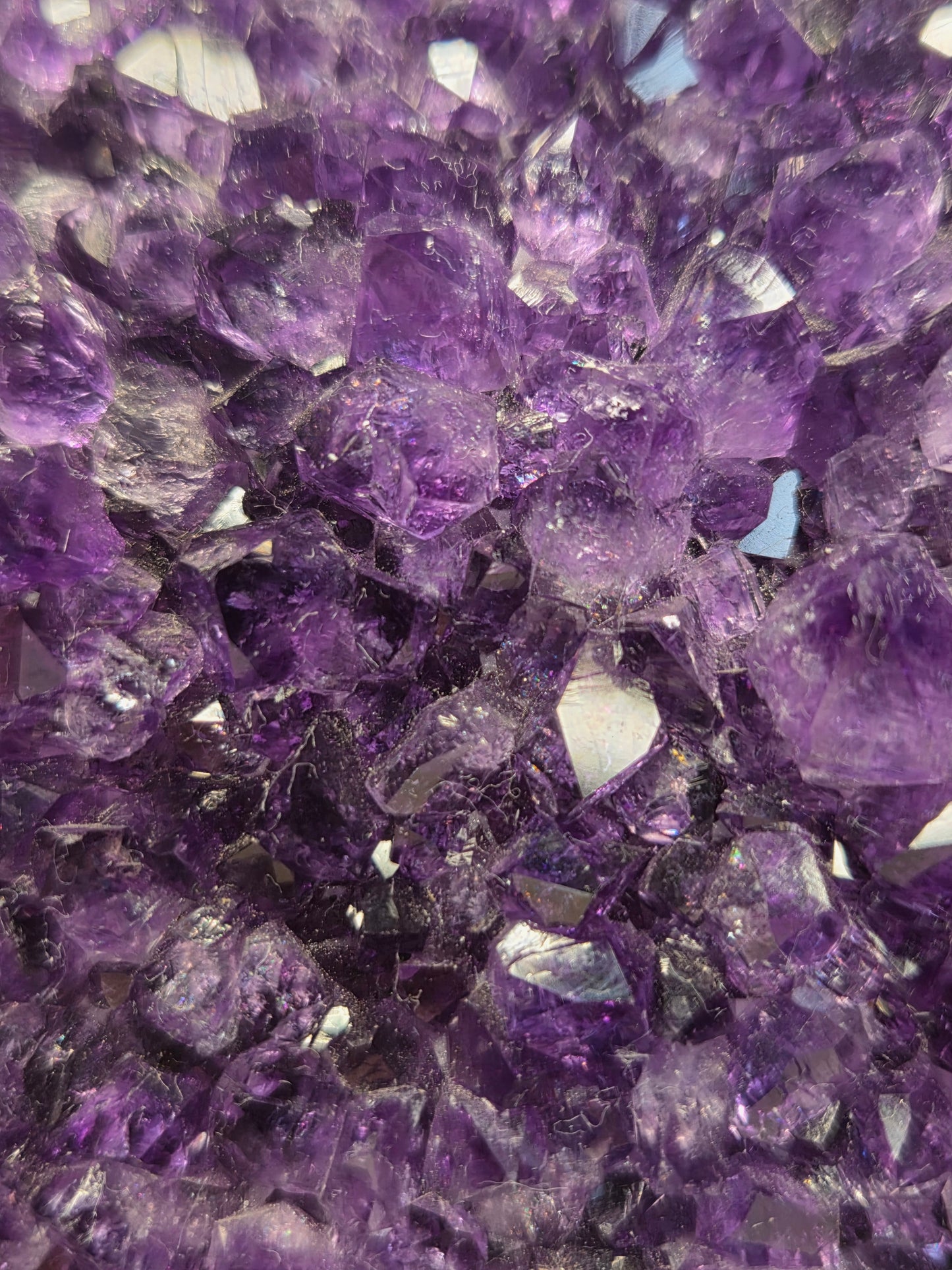 Extra Large Brazilian Amethyst cutbase